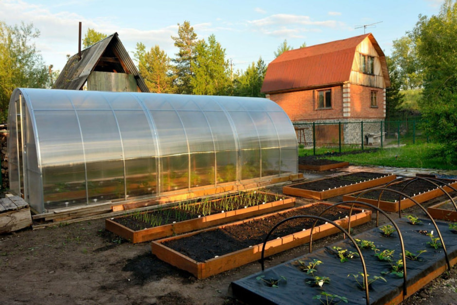 теплица6.jpg