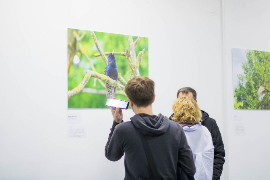 Посетители на выставке птиц 3.jpg