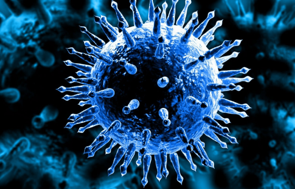 вирус птичьего гриппа вирус птичьего гриппа