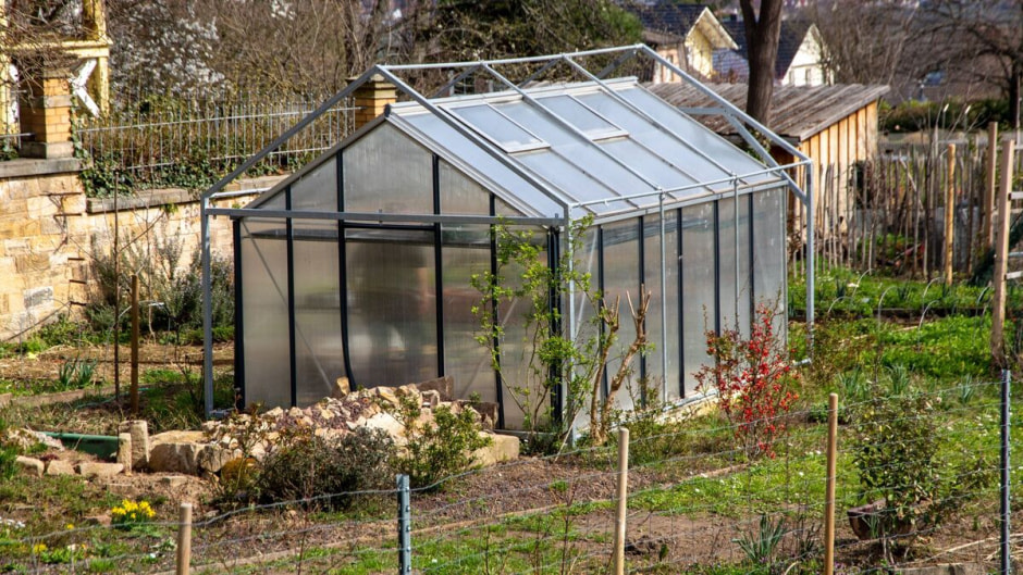 Теплица на даче