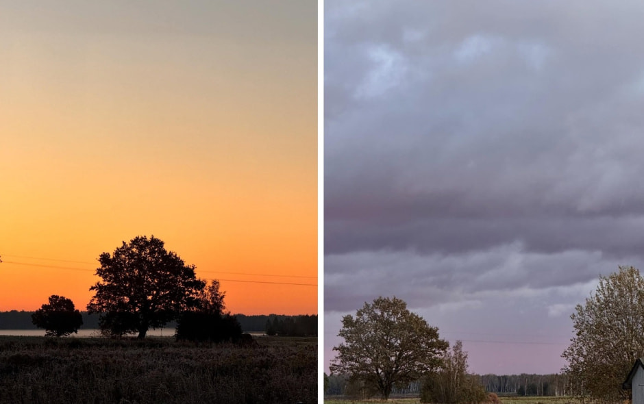 пейзаж с дубами, фото alinakish_foto пейзаж с дубами, фото alinakish_foto