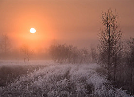 К чему приготовиться после “штормовой” ночи в Беларуси? Арктика сдается – Белгидромет дал подробный прогноз