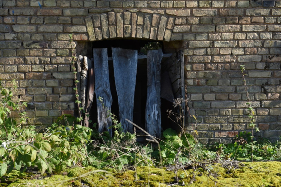 Клоунариум в деревне Зябки 37.jpg