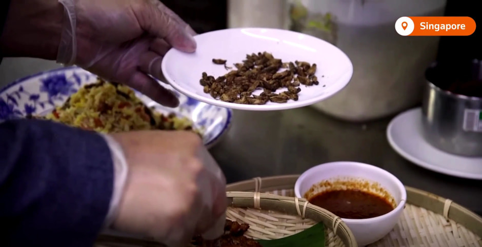 насекомые для еды Сингапур.jpg