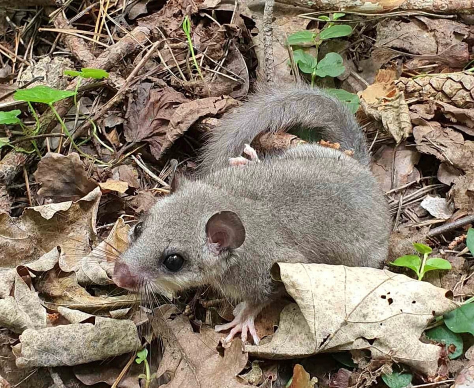 Экспедиция сони 7.jpg Экспедиция сони 7.jpg