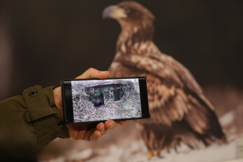 фотовыставка Дикая природа Беларуси 27.jpg