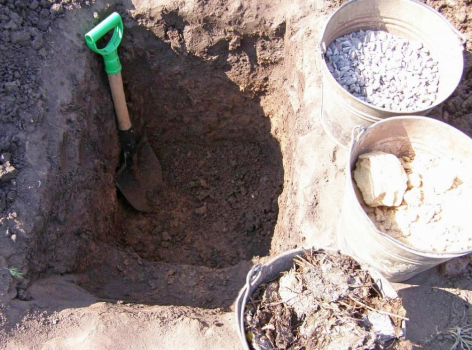 Как подготовить ямки для саженцев 1.jpg