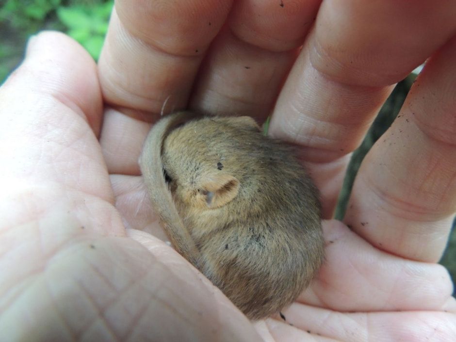 Экспедиция сони 21.jpg