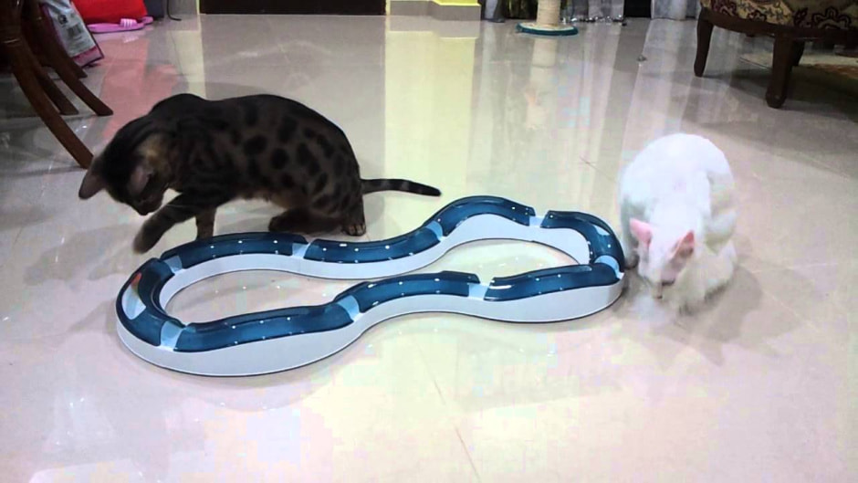 Волнистая игровая дорожка для котов.jpg Волнистая игровая дорожка для котов.jpg