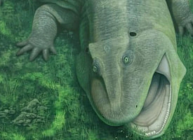 В Бразилии нашли странное древнее животное с искривленными челюстями