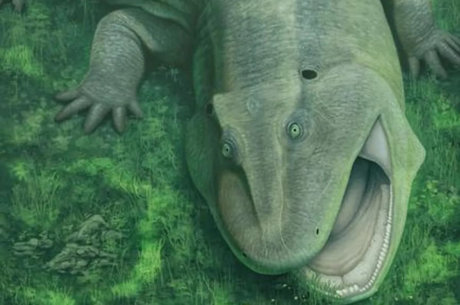 Иллюстрация, показывающая, как мог выглядеть Tanyka amnicola