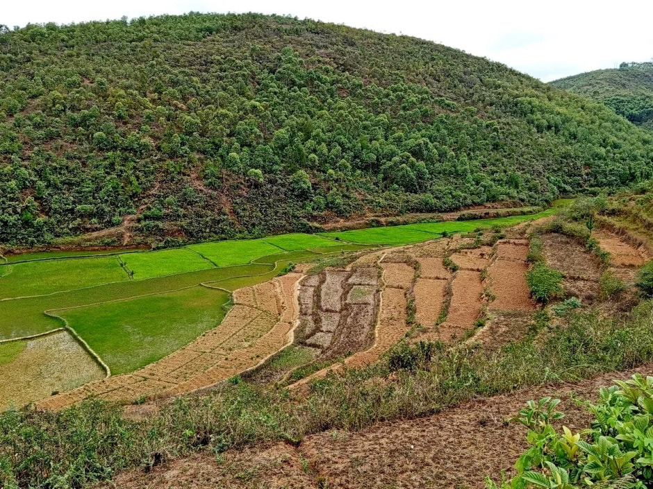 Мадагаскар 6.jpg