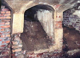 Живут над усыпальницей Радзивиллов: в деревне под Минском дома стоят прямо на старинном склепе