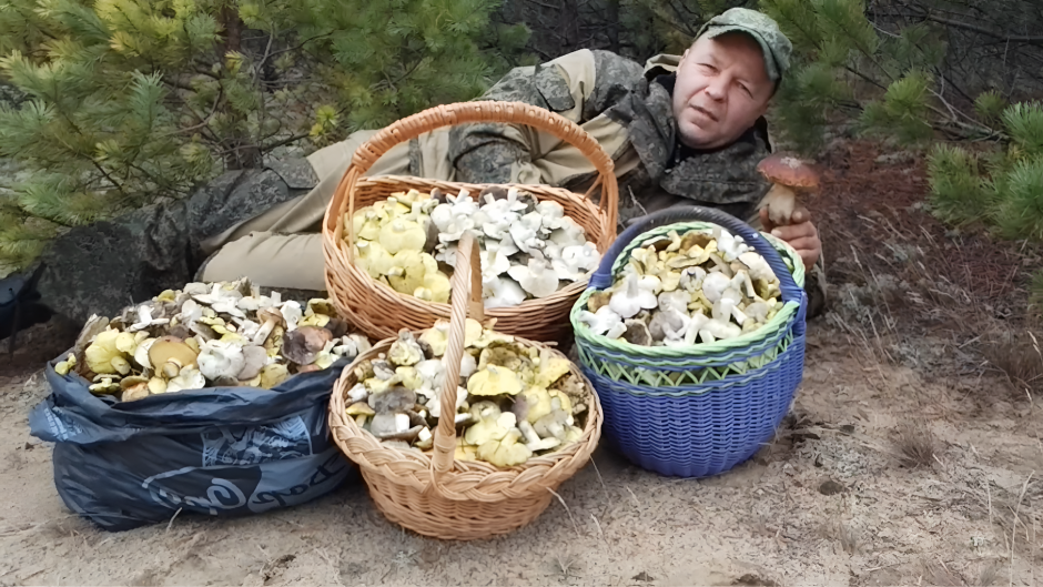 2025-11-05_14-28-57 (1).png