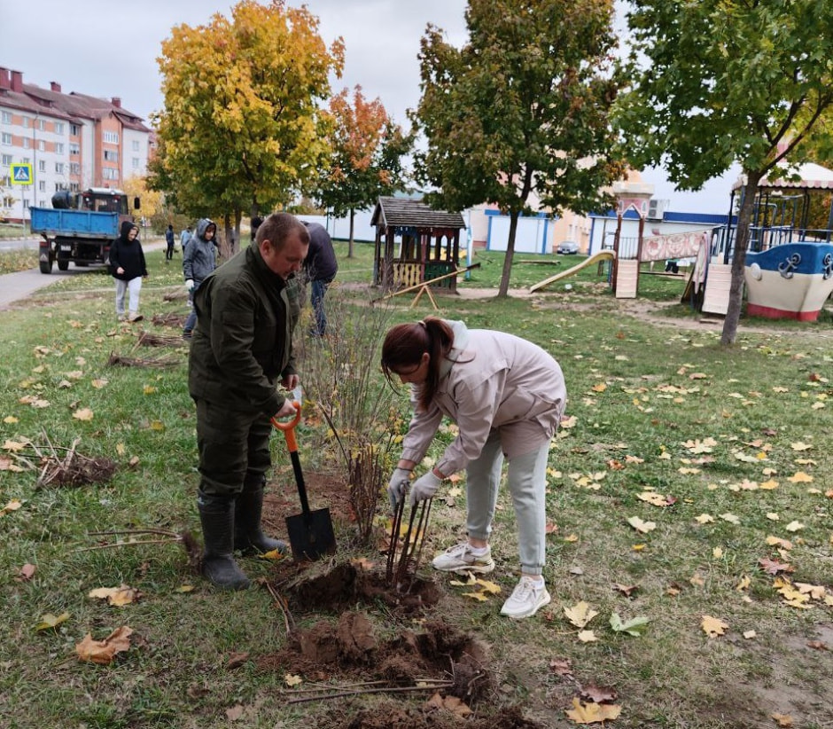 озеленение1.jpg