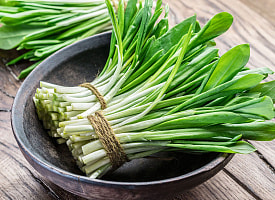 Как в Беларуси избежать штрафа в 1350 рублей за черемшу? Ботаник раскрыл секрет