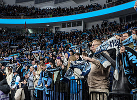 Фанаты минского «Динамо» выкупили часть арены «Локо» на выездной матч «зубров»