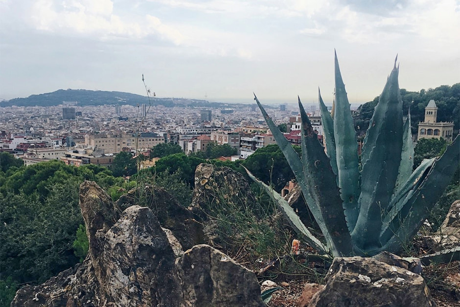 Проблемы с шенгенской визой 10.jpg