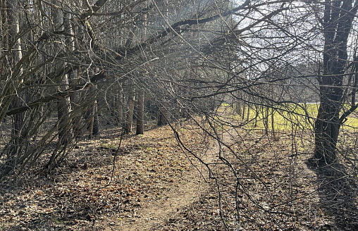 Рябов пообещал белорусам дожди, туманы и даже мокрый снег на неделе с 20 по 26 апреля