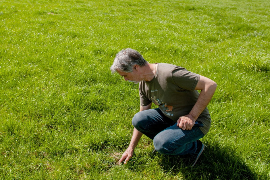 Белорусские суслики в депрессии 4.jpg