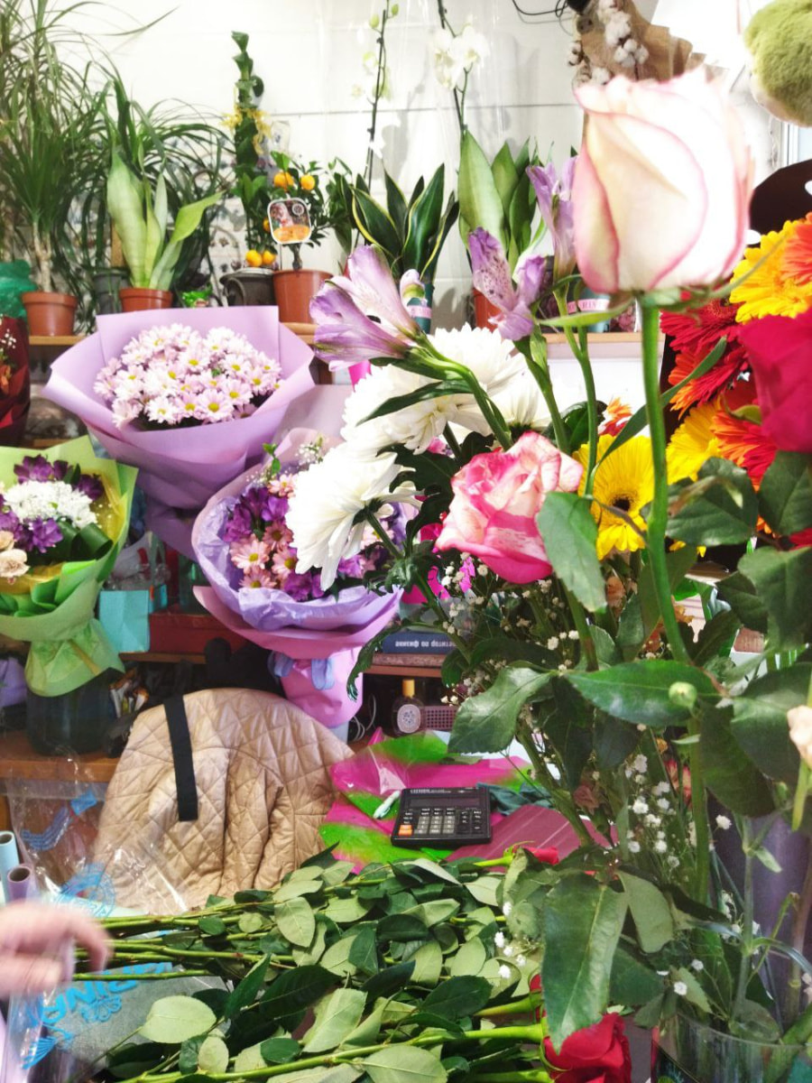 цветы инсткультуры5.jpg цветы инсткультуры5.jpg