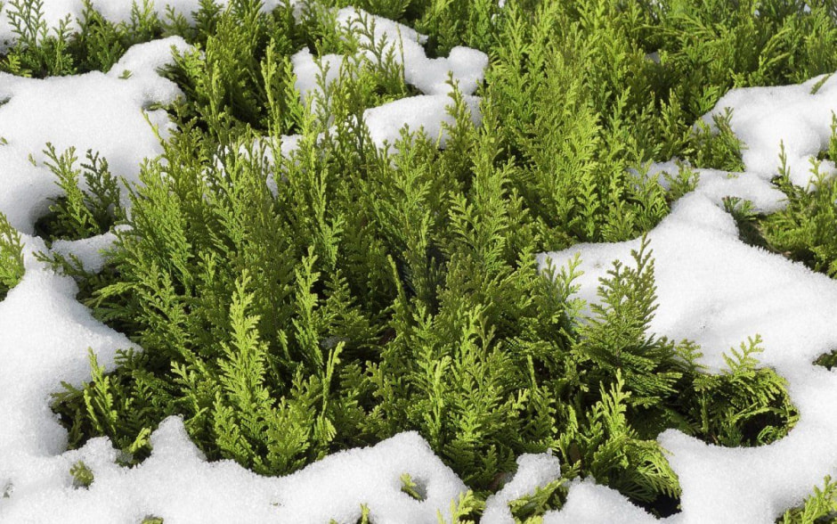 photo_2026-01-26_09-02-21 (3).jpg