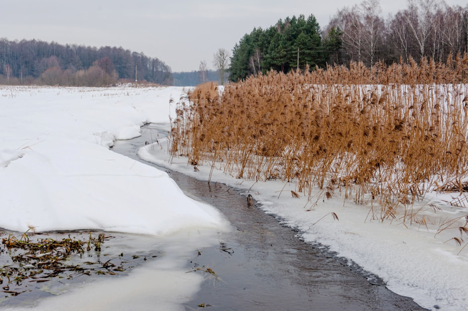 Хутор Замошье 2.jpg