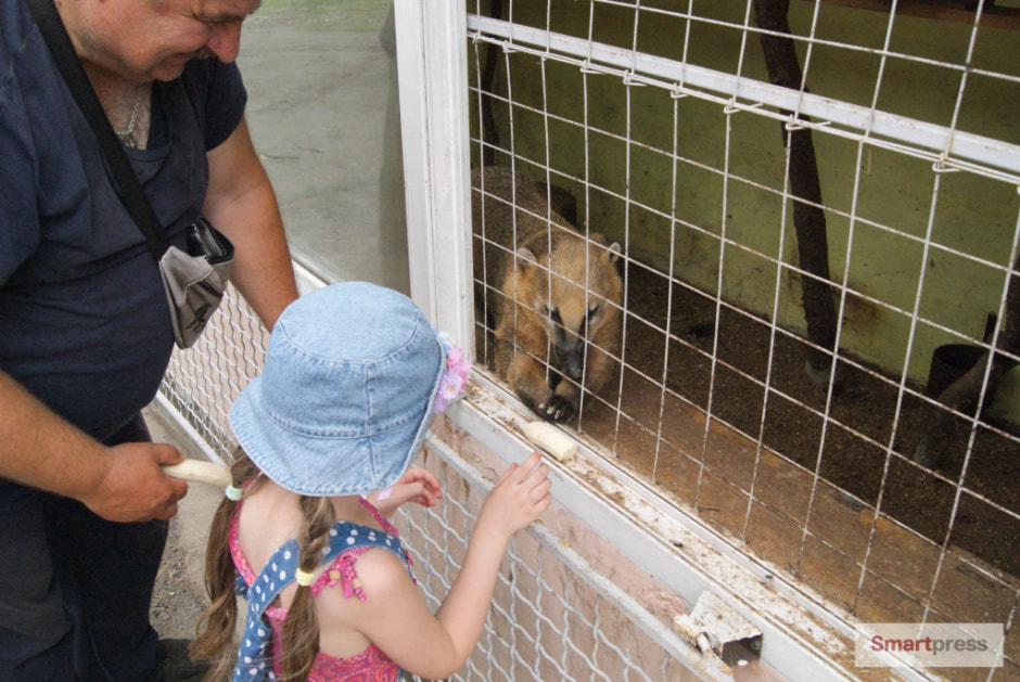 DSC07203.jpg DSC07203.jpg