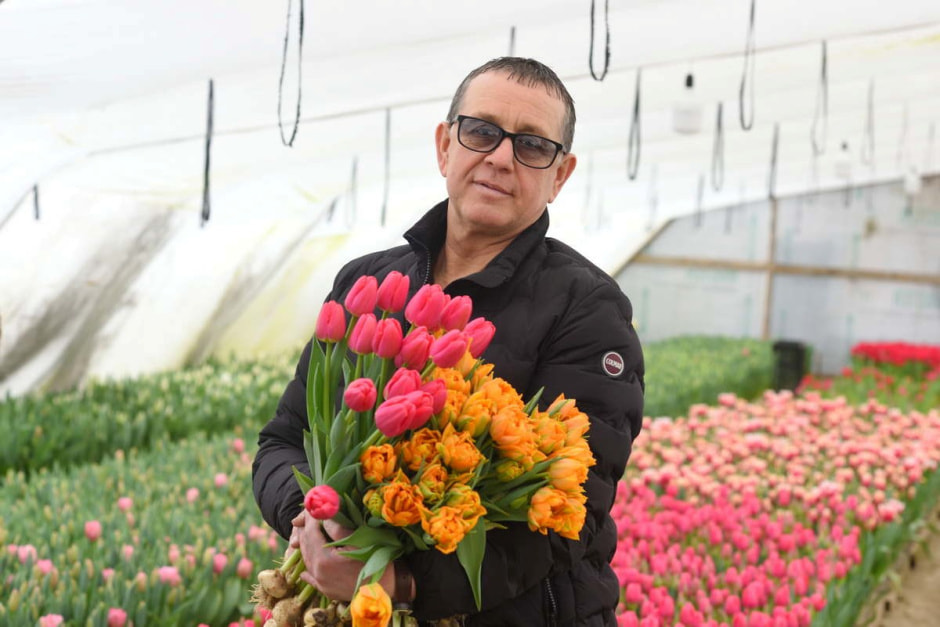 Как на Полесье выращивают тюльпаны 1_Владимир Диковицкий.jpg