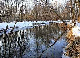 До 17 см за сутки. На крупных реках Беларуси стал расти уровень воды