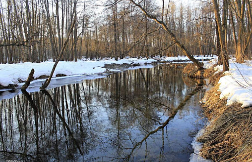 До 17 см за сутки. На крупных реках Беларуси стал расти уровень воды