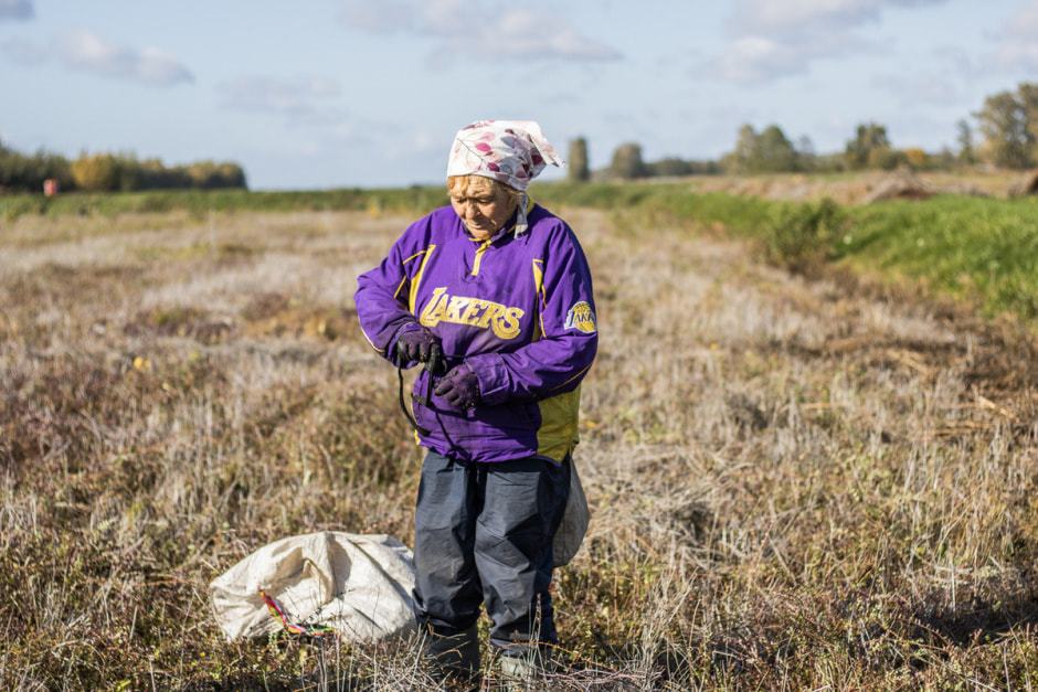 Полесские журавины 10_София Ивановна.jpg