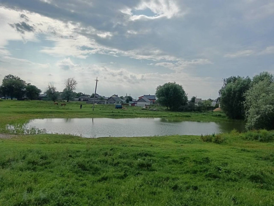 водоем, столин.jpg