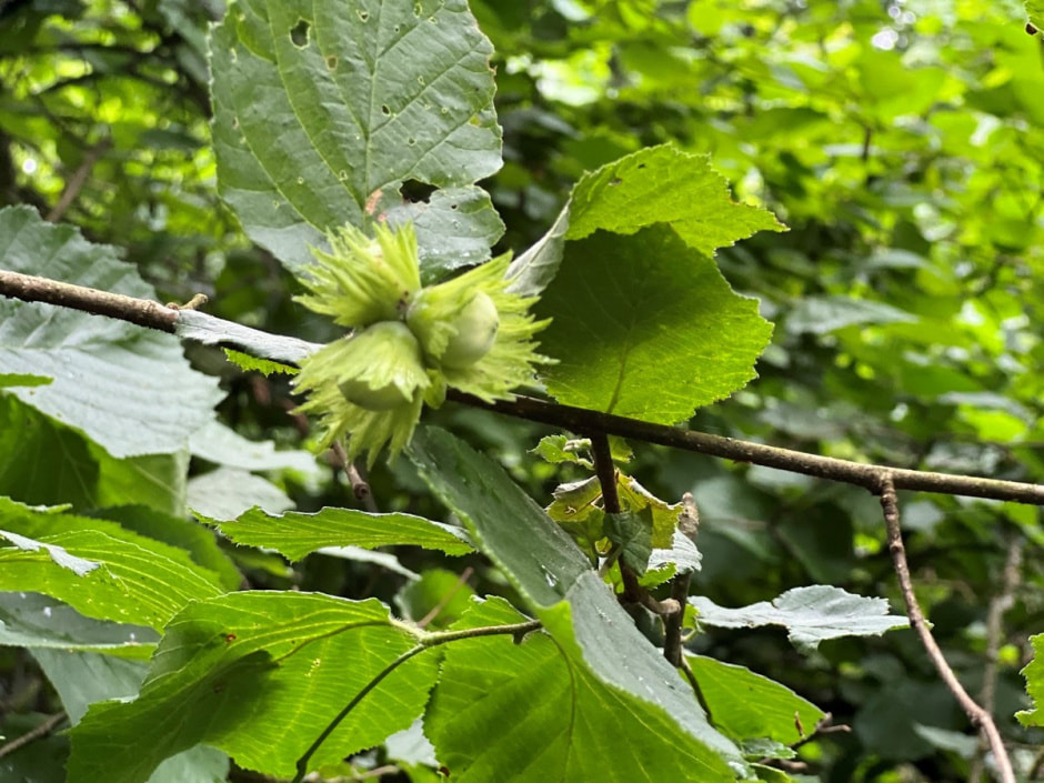 Экспедиция сони 10.jpg