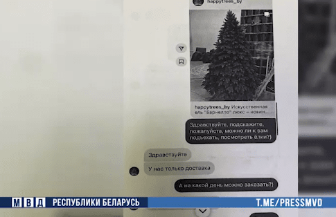 елки аферисты.png