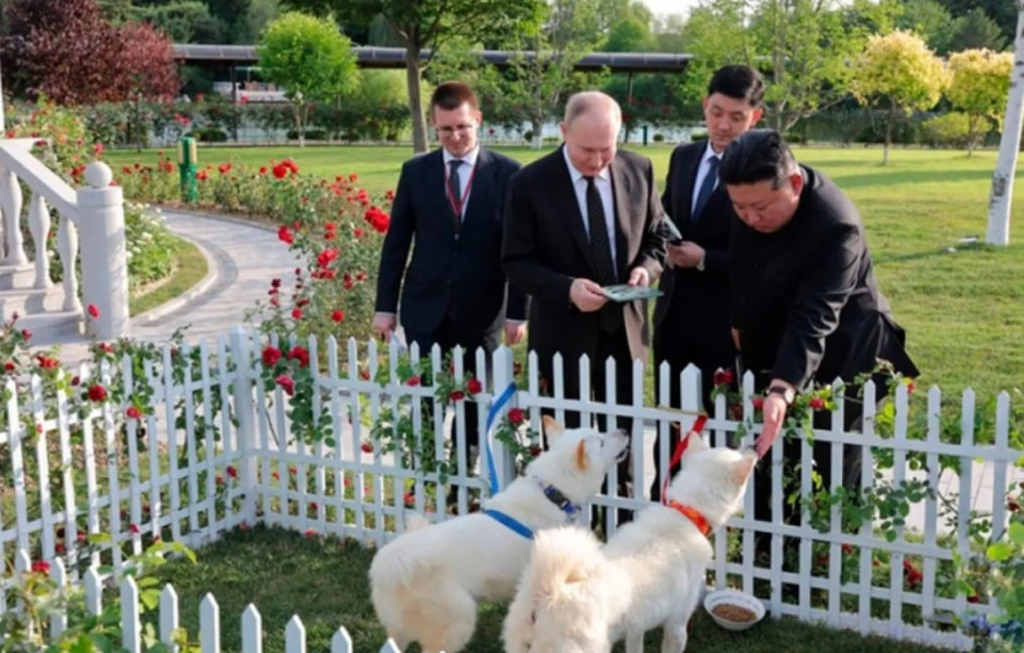 Собакаи и Путин .jpg