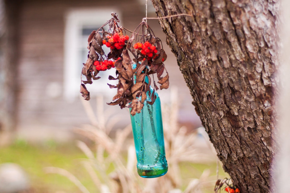 Агроусадьба Букашкин дом 13.jpg