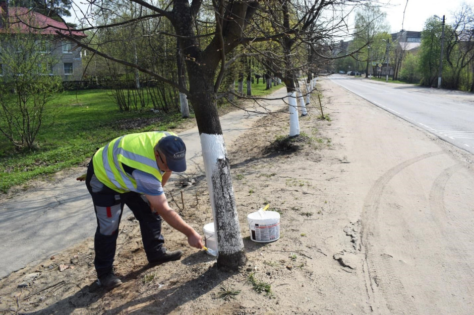 Побелка деревьев 2.jpg Побелка деревьев 2.jpg