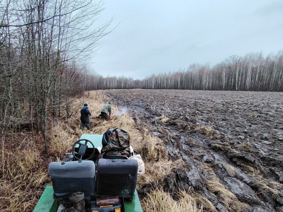Как бортник спасает на Полесье черных пчел 11.jpg