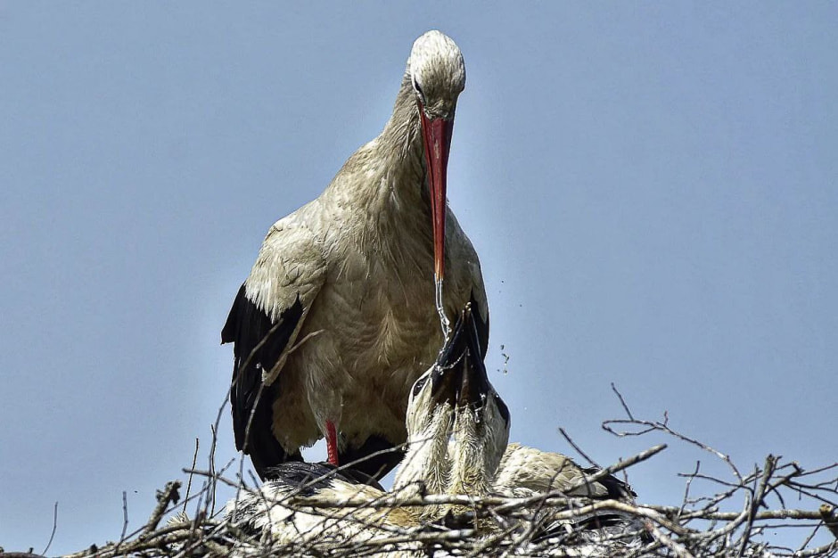 Фотограф-врач Инна Субботина 11.jpg