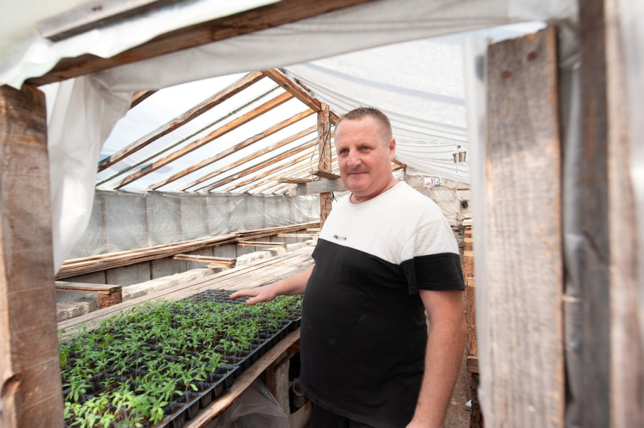 Семья Лой 20 лет выращивает огурцы и помидоры 22.jpg