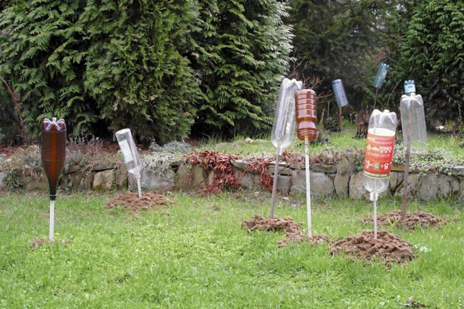 кроты_трубки.jpeg.jpg кроты_трубки.jpeg.jpg