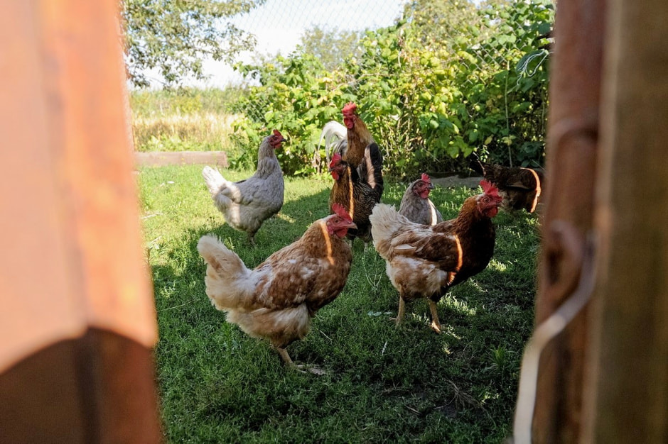 Деревня Глядовичи 17.jpg