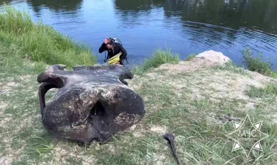 Останки мамонта