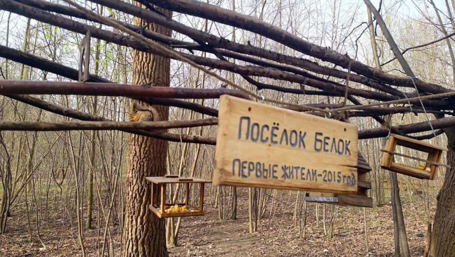 Топ-5 экотроп Минска 19_Севастопольская.jpg Топ-5 экотроп Минска 19_Севастопольская.jpg