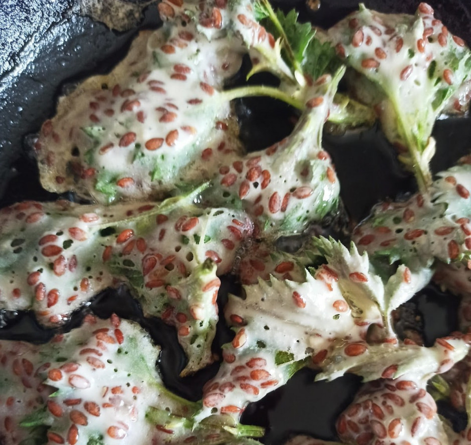 Травница Ольга Букат 14.jpg