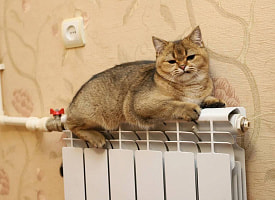 В этой области Беларуси объявили отключение отопления – везде, но по очереди