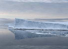 Крупнейший в мире айсберг A23a потерял 99% площади