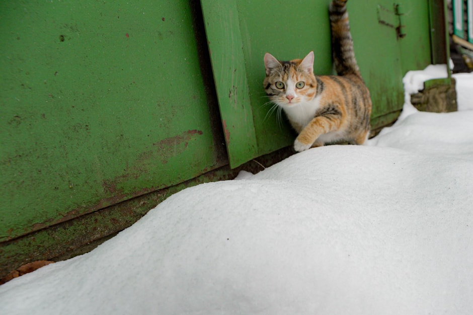 Автолавка в Глусском районе 3.jpg Автолавка в Глусском районе 3.jpg