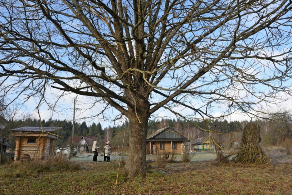 Семья восстановила старые рецепты сыров 22.jpg